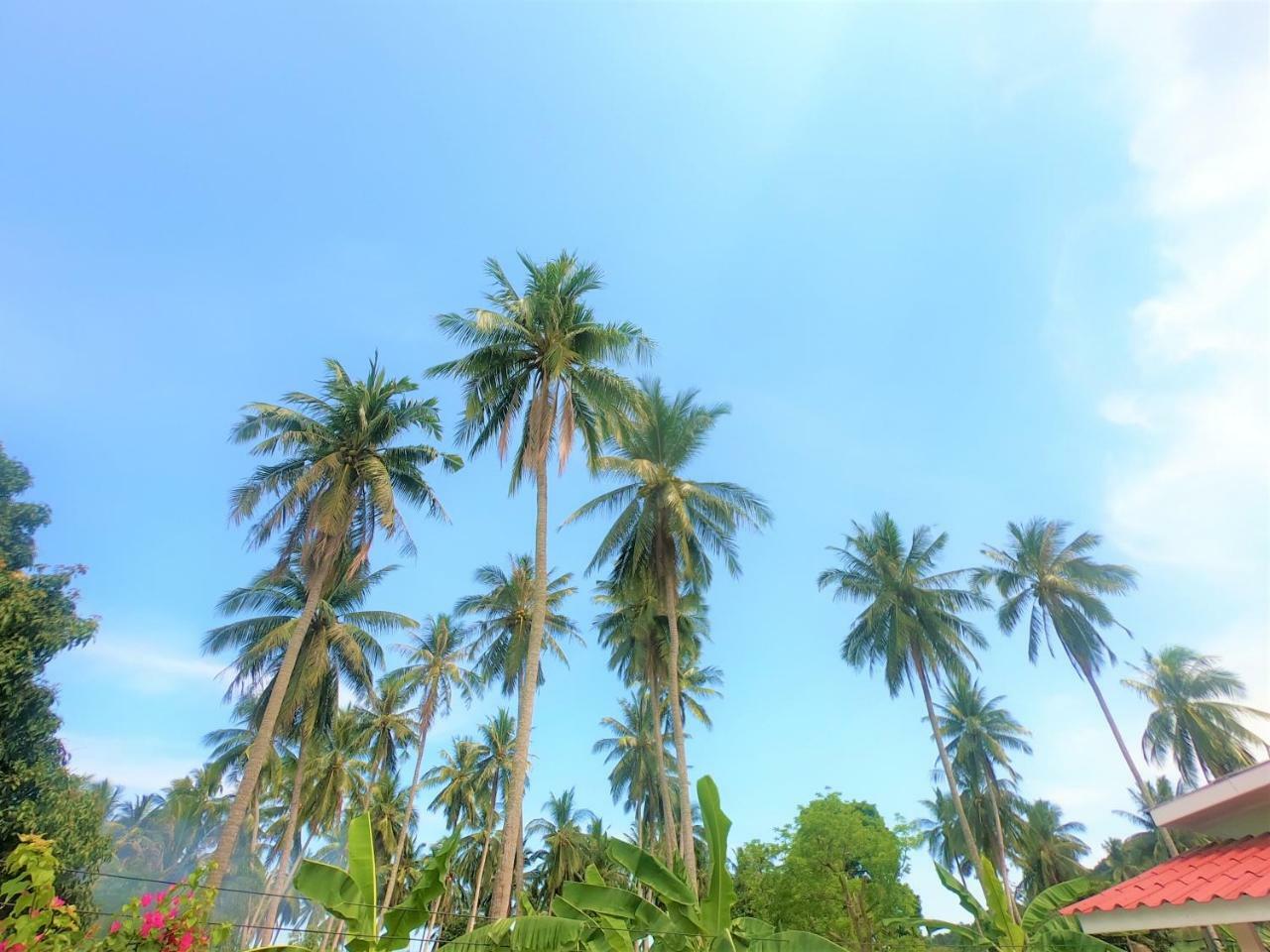 Wirason Villa Pool Maret ภายนอก รูปภาพ